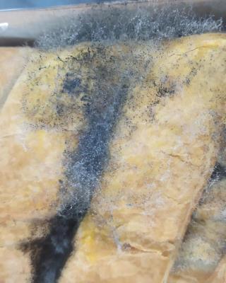 Illustrative photo #1