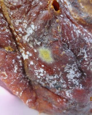 Illustrative photo #4