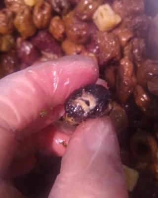 Illustrative photo #9