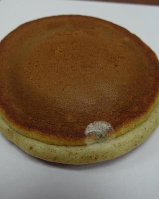 Illustrative photo #7