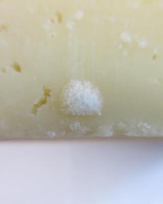 Illustrative photo #8