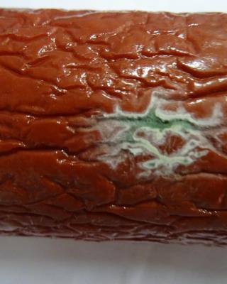 Illustrative photo #1