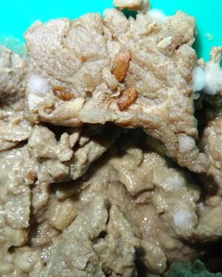 Illustrative photo #1