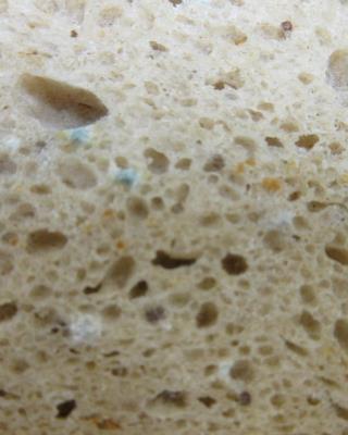 Illustrative photo #7