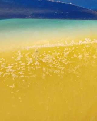 Illustrative photo #2