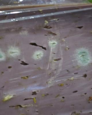 Illustrative photo #2