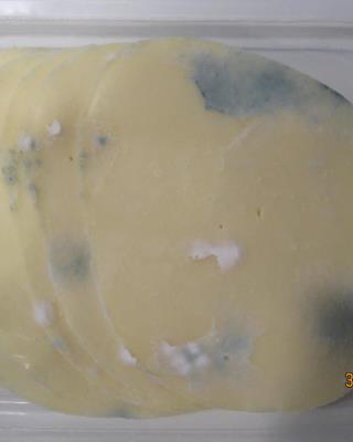 Illustrative photo #2