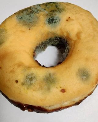 Ilustrační fotografie č. 2